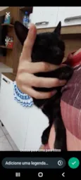 Ayla