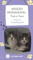Tina e Teco