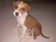 Duke