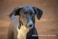 Docinho