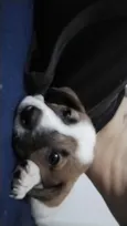 Agatha
