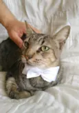TONNY