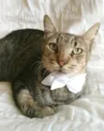 TONNY