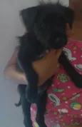Mayla