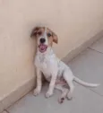 Ramona