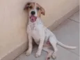 Ramona