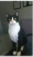 MARGÔ
