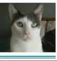 JHON