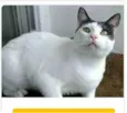 JHON