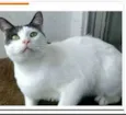 JHON