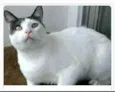 JHON
