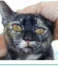 LUÍSA