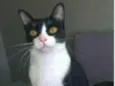 MARGÔ