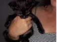Lily