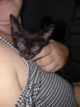 Lili