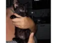 Lili