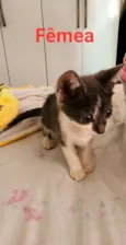 Marte e bela