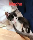 Marte e bela