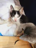 Marte e bela