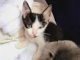 Marte e bela
