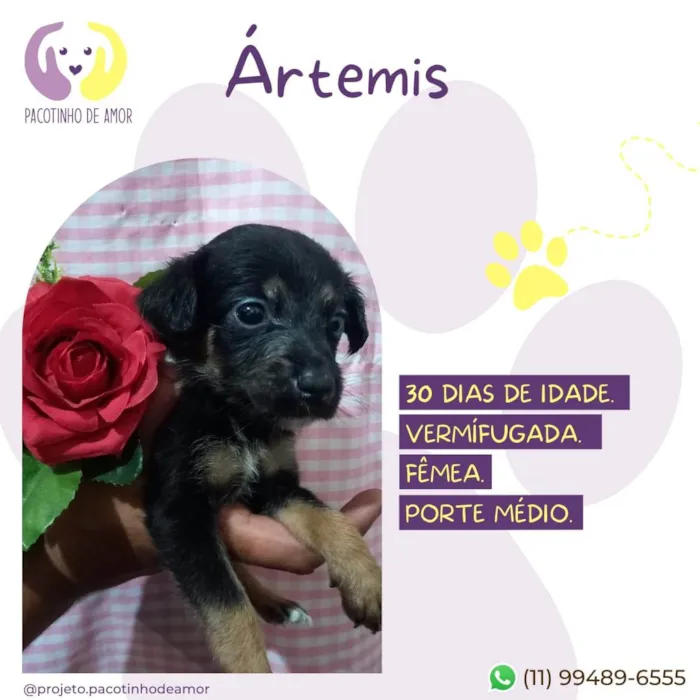 Artemis