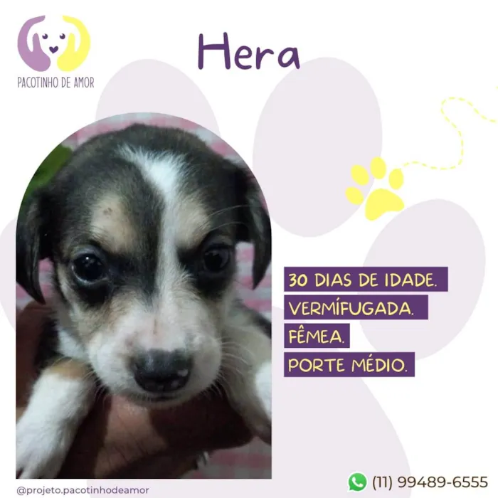 Hera