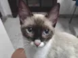 Mag
