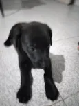 Baby