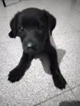 Baby