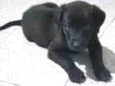 Baby