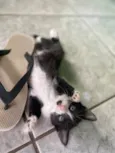 …