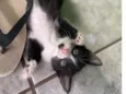 …