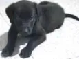 Baby