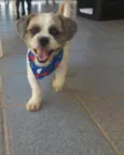 Marley