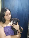 Pão de forma