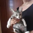 Caio
