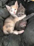 Fofura em dose dupla!