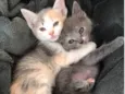 Fofura em dose dupla!