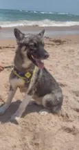Max