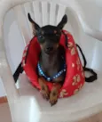 Betinho