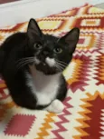 Rodolfo