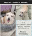 Zé