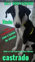 Zé