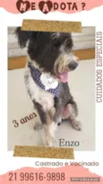 Zé