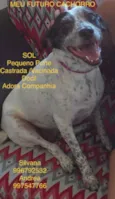 Zé
