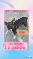 Zé