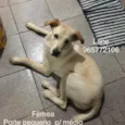 Zé