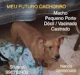 Zé