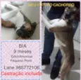 Zé