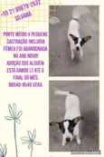 Zé